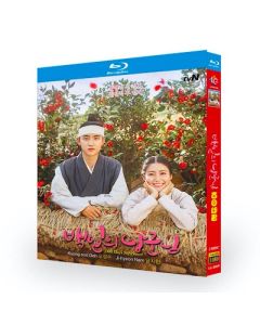 韓国ドラマ 100日の郎君様 (ド・ギョンス、ナム・ジヒョン出演) Blu-ray BOX