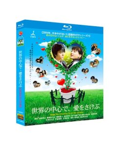 世界の中心で、愛をさけぶ (山田孝之、綾瀬はるか出演) TV+映画 Blu-ray BOX 完全版