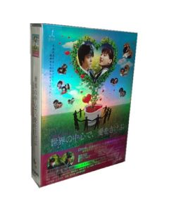 世界の中心で、愛をさけぶ <完全版> DVD-BOX