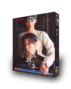 韓国ドラマ 還魂 パート2 光と影 DVD-BOX