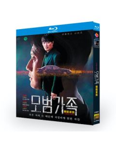 韓国ドラマ 模範家族 Blu-ray BOX