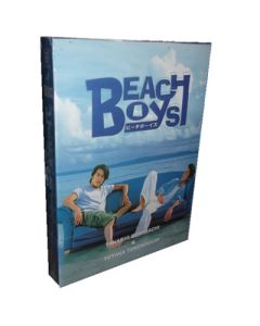ビーチボーイズ DVD-BOX