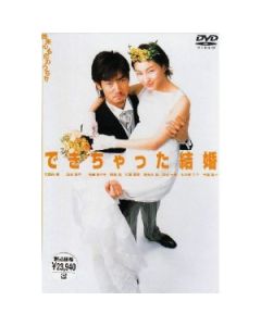 できちゃった結婚 (竹野内豊、広末涼子、妻夫木聡、阿部寛出演) DVD-BOX