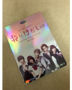 dTV×FOD共同製作ドラマ「花にけだもの」DVD-BOX