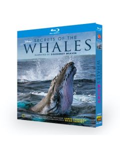 Secrets of the Whales クジラと海洋生物たちの社会 Blu-ray BOX