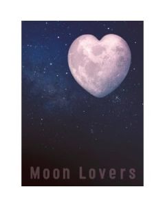 月の恋人 Moon Lovers DVD-BOX