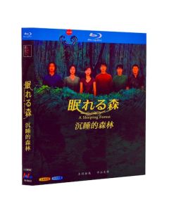 眠れる森 (中山美穂、仲村トオル、木村拓哉出演) Blu-ray BOX