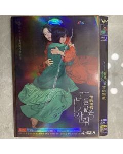 韓国ドラマ あなたに似た人 DVD-BOX