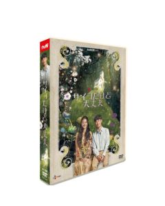 韓国ドラマ サイコだけど大丈夫 (キム・スヒョン主演) DVD-BOX 完全版