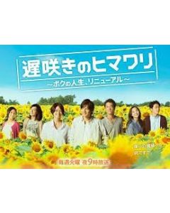遅咲きのヒマワリ ~ボクの人生、リニューアル~ DVD-BOX