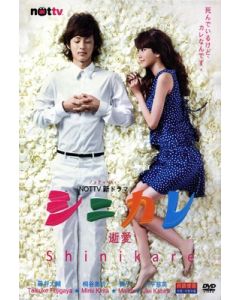 シニカレ完全版 DVD-BOX