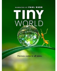Tiny World 小さな世界 Season 1+2 全巻 Blu-ray BOX